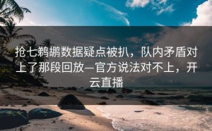 抢七鹈鹕数据疑点被扒，队内矛盾对上了那段回放—官方说法对不上，开云直播