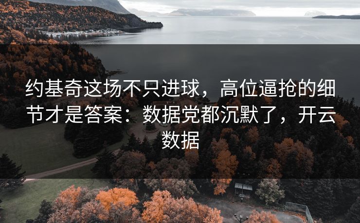 约基奇这场不只进球，高位逼抢的细节才是答案：数据党都沉默了，开云数据