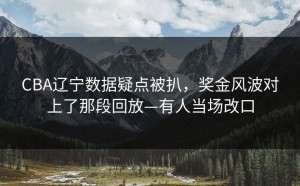 CBA辽宁数据疑点被扒，奖金风波对上了那段回放—有人当场改口