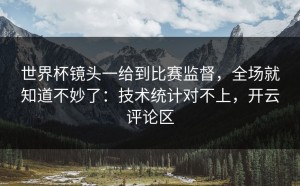 世界杯镜头一给到比赛监督，全场就知道不妙了：技术统计对不上，开云评论区