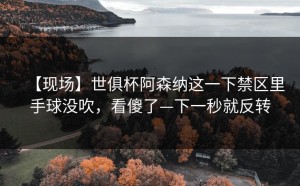 【现场】世俱杯阿森纳这一下禁区里手球没吹，看傻了—下一秒就反转