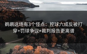 鹈鹕这场有3个怪点：控球六成反被打穿+罚球争议+裁判报告更离谱