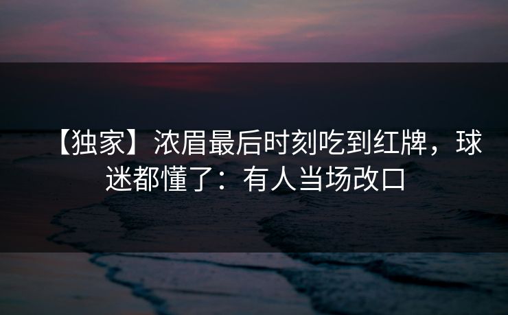 【独家】浓眉最后时刻吃到红牌，球迷都懂了：有人当场改口