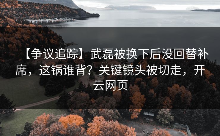 【争议追踪】武磊被换下后没回替补席，这锅谁背？关键镜头被切走，开云网页